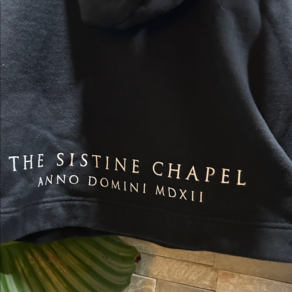 ZARA Sistine Chapel Cropped Hoodie - Picture 7 of 13